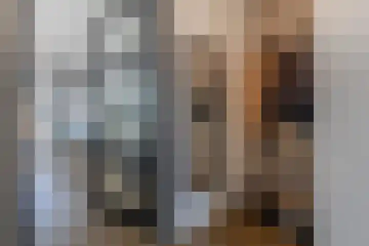 Boezemlanden 6 Groot-Ammers thumbnail 6