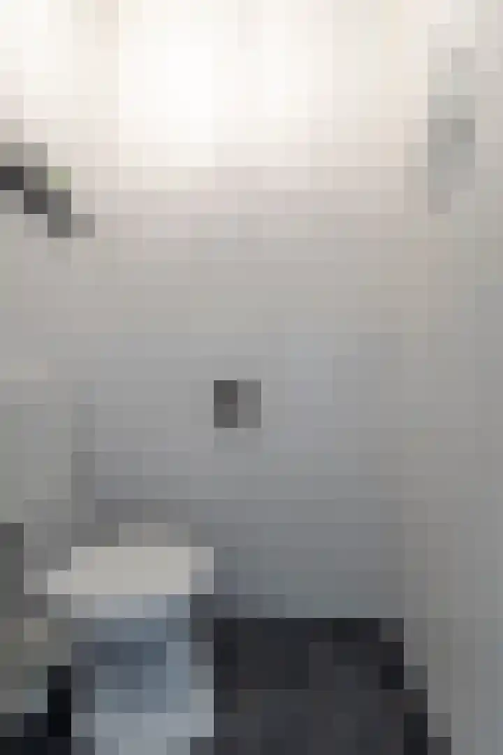 Boezemlanden 6 Groot-Ammers thumbnail 8