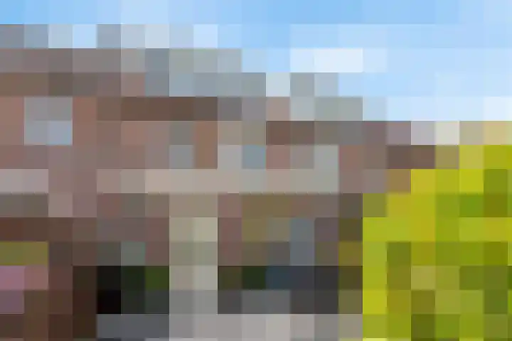 Boezemmolen 34 Mijdrecht thumbnail 19