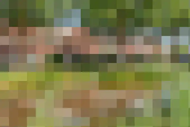 Boezemmolen 34 Mijdrecht thumbnail 4