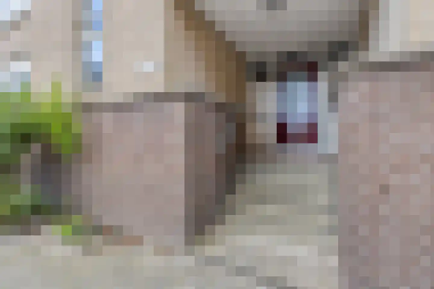 Boezemsingel 125 Rotterdam thumbnail 5
