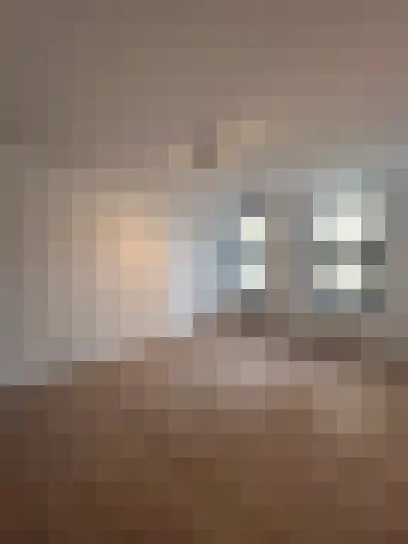 Boezemsingel 13 Rotterdam thumbnail 5
