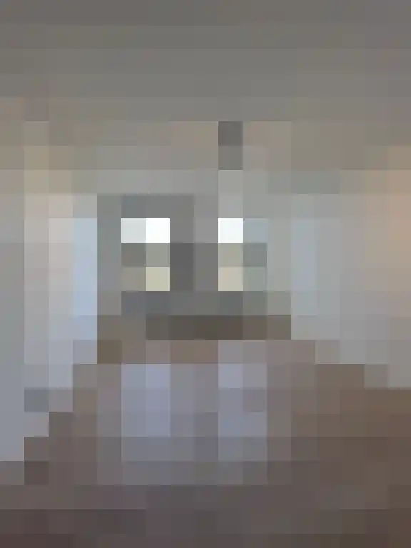 Boezemsingel 13 Rotterdam thumbnail 5