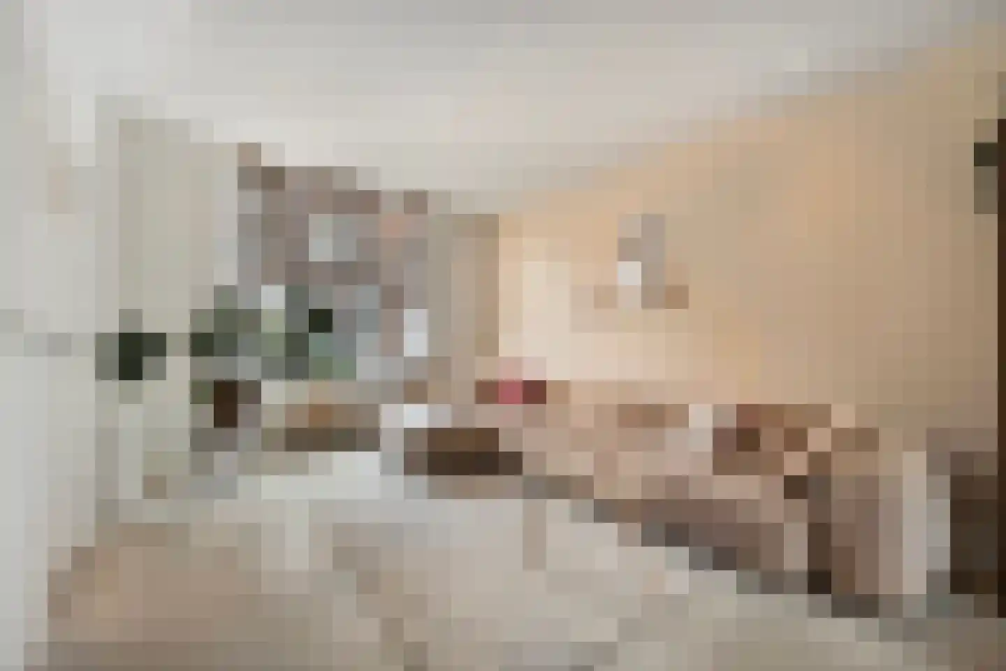 Boezemsingel 14 Alkmaar thumbnail 11
