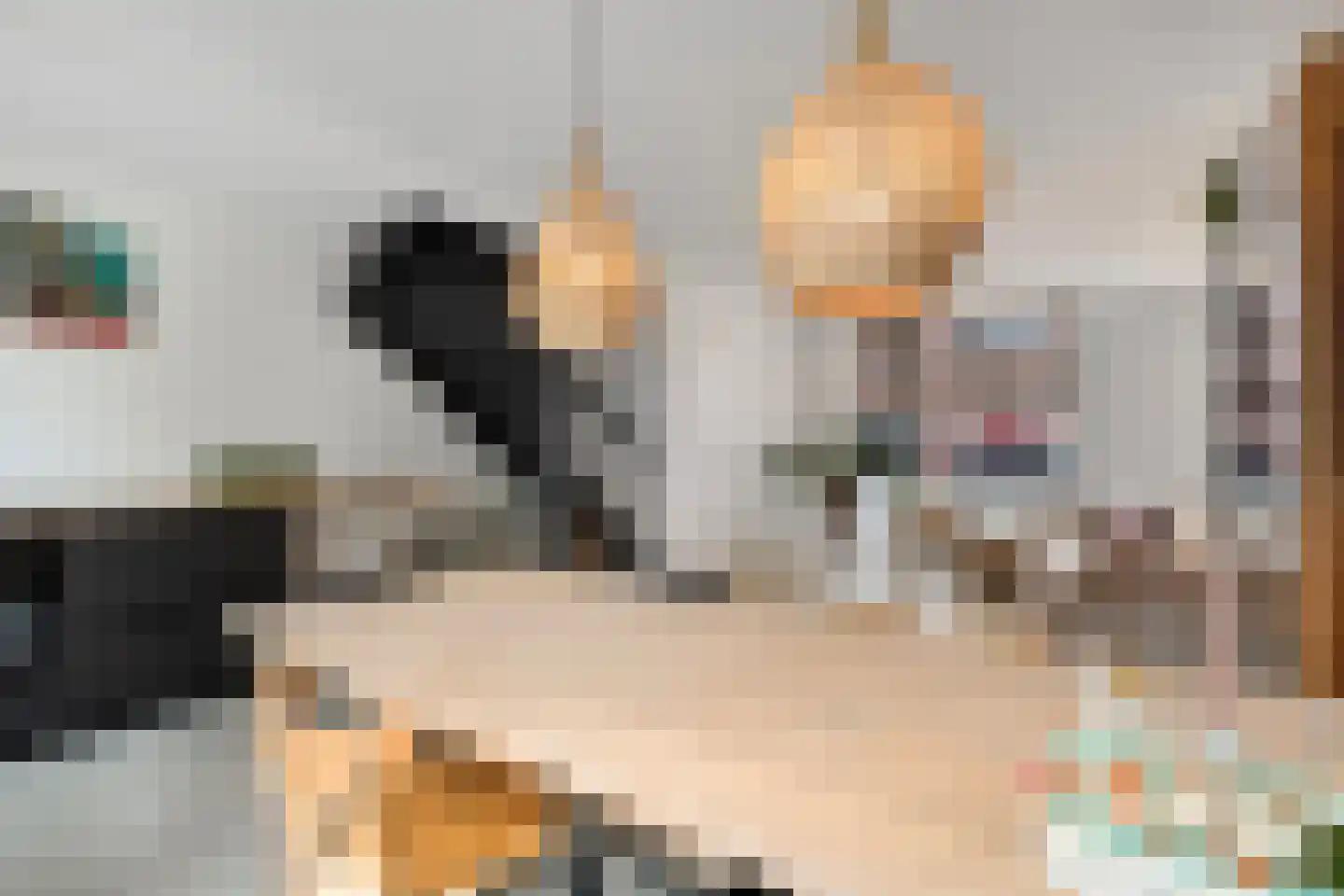 Boezemsingel 14 Alkmaar thumbnail 13