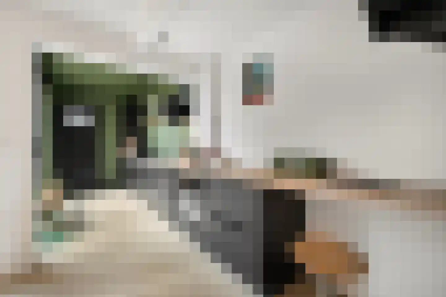 Boezemsingel 14 Alkmaar thumbnail 16