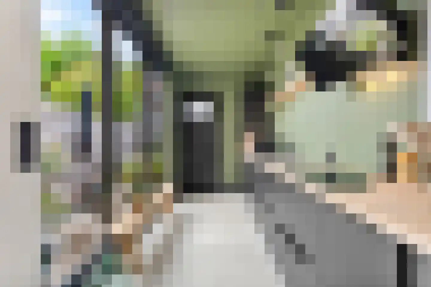 Boezemsingel 14 Alkmaar thumbnail 17