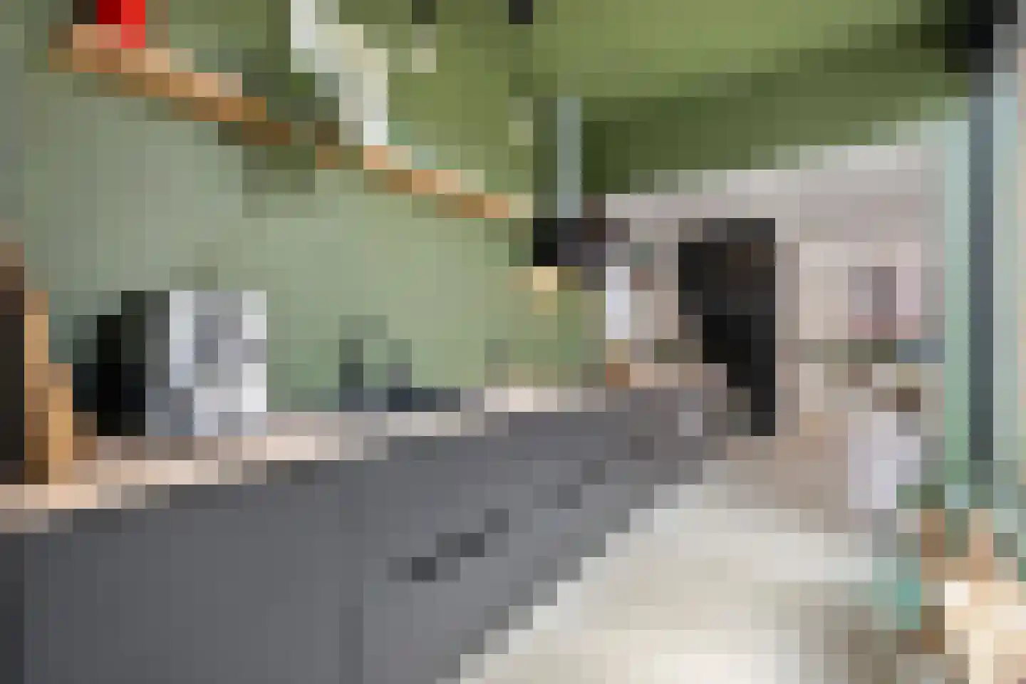 Boezemsingel 14 Alkmaar thumbnail 19