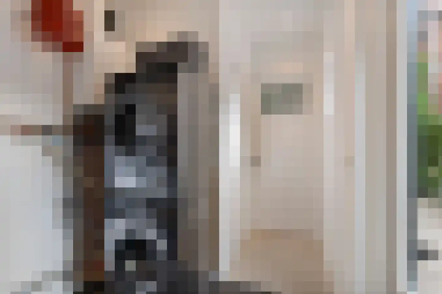 Boezemsingel 14 Alkmaar thumbnail 21