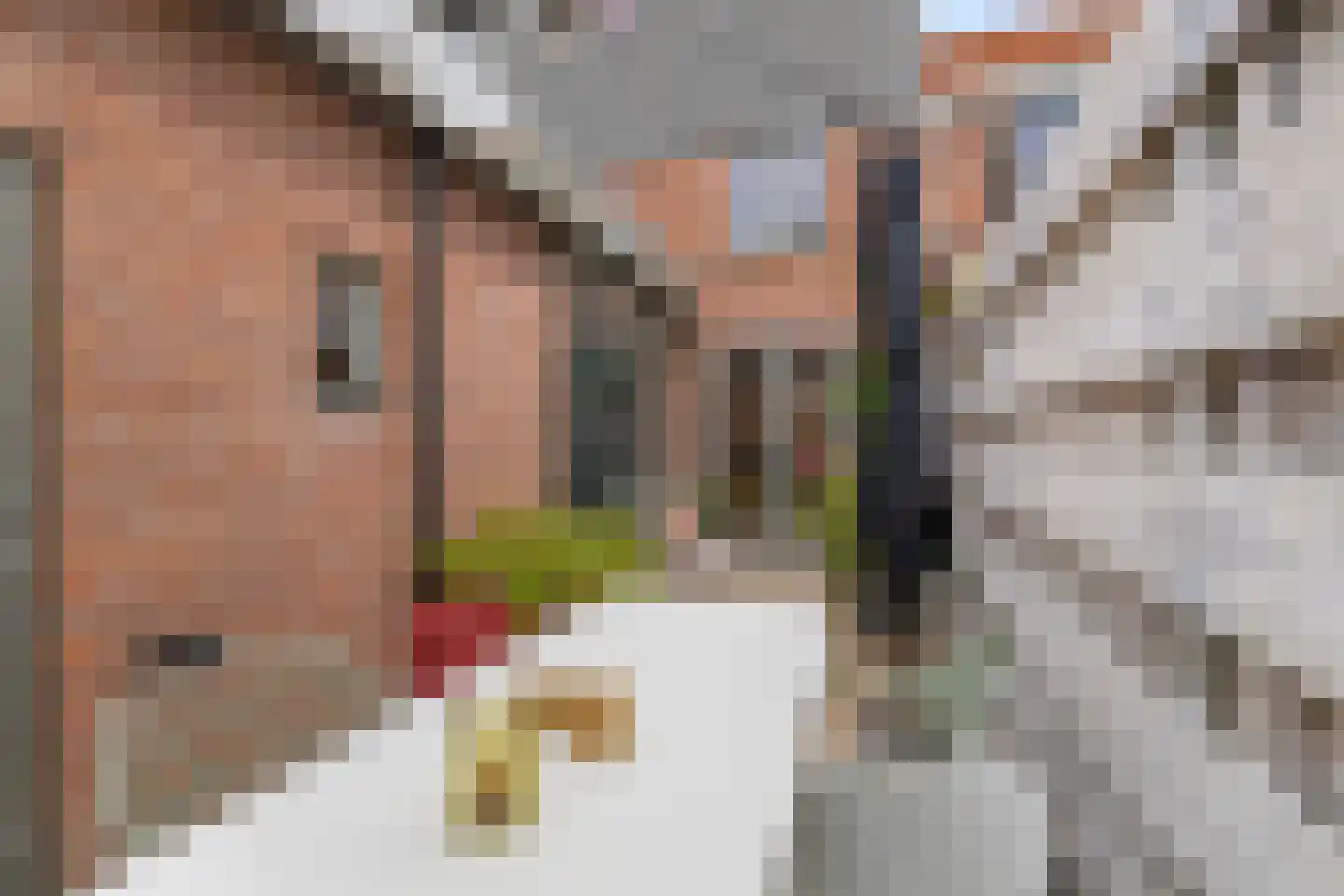 Boezemsingel 14 Alkmaar thumbnail 39