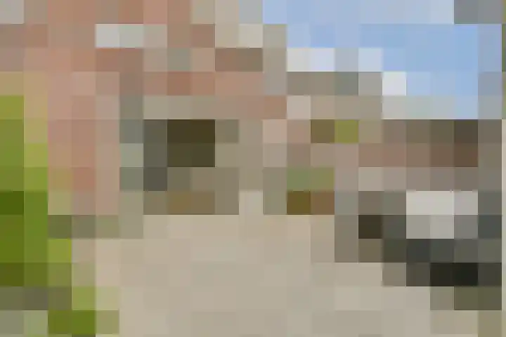 Boezemsingel 25 Alkmaar thumbnail 11