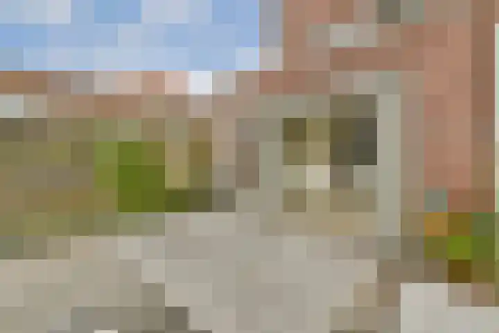 Boezemsingel 25 Alkmaar thumbnail 14
