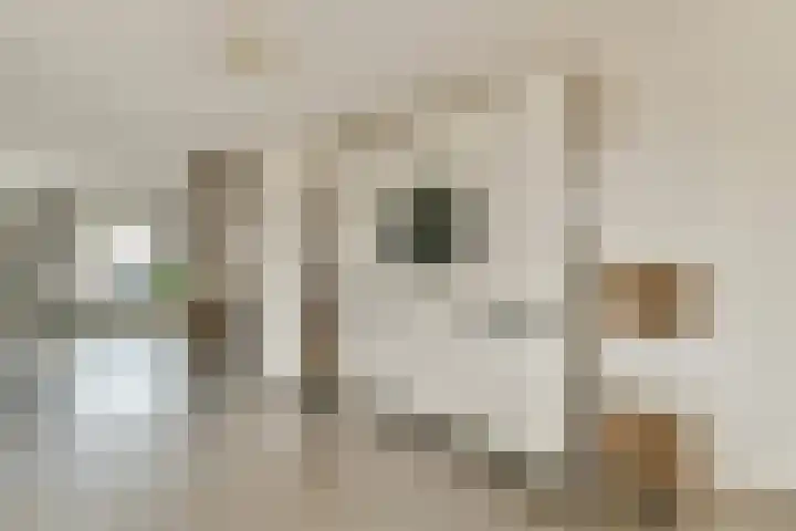 Boezemsingel 25 Alkmaar thumbnail 17