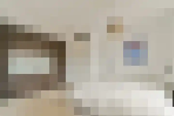 Boezemsingel 25 Alkmaar thumbnail 20