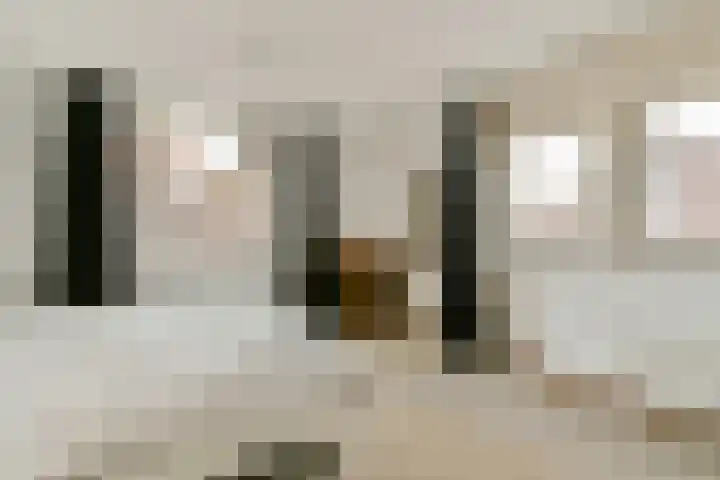 Boezemsingel 25 Alkmaar thumbnail 21