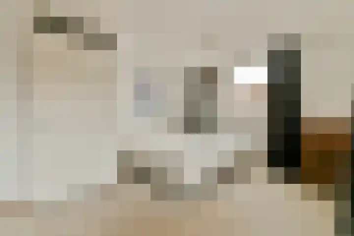 Boezemsingel 25 Alkmaar thumbnail 22
