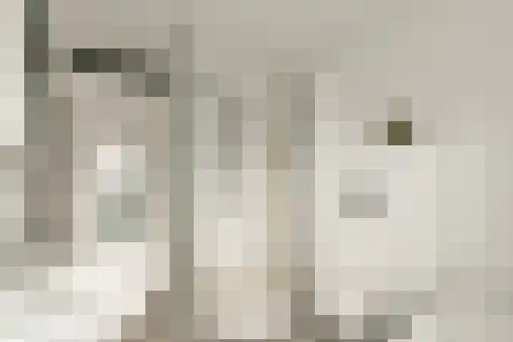 Boezemsingel 25 Alkmaar thumbnail 27