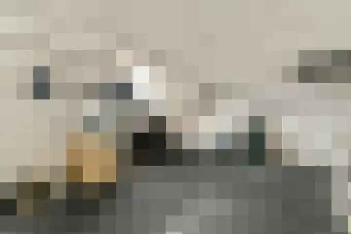 Boezemsingel 25 Alkmaar thumbnail 31