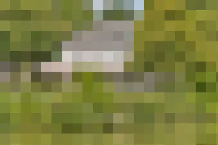 Boezemsingel 25 Alkmaar thumbnail 37