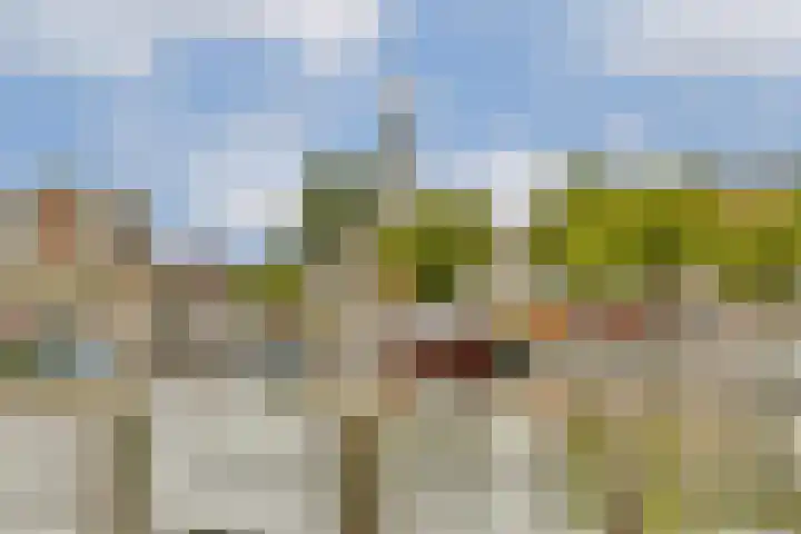 Boezemsingel 25 Alkmaar thumbnail 39