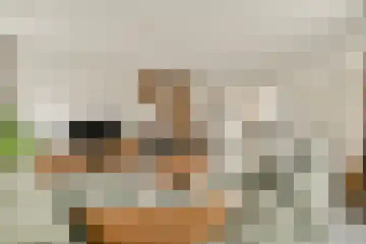 Boezemsingel 25 Alkmaar thumbnail 5