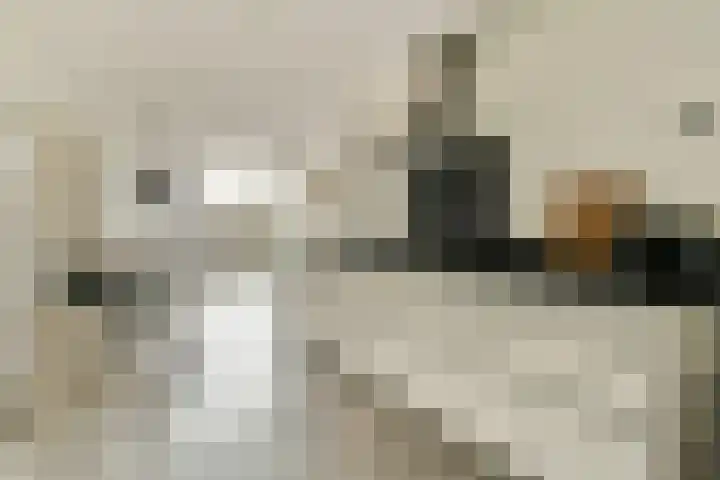 Boezemsingel 25 Alkmaar thumbnail 7