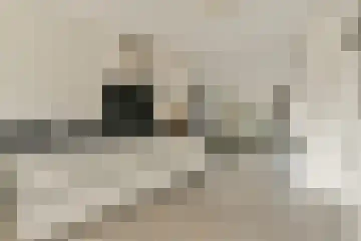 Boezemsingel 25 Alkmaar thumbnail 8