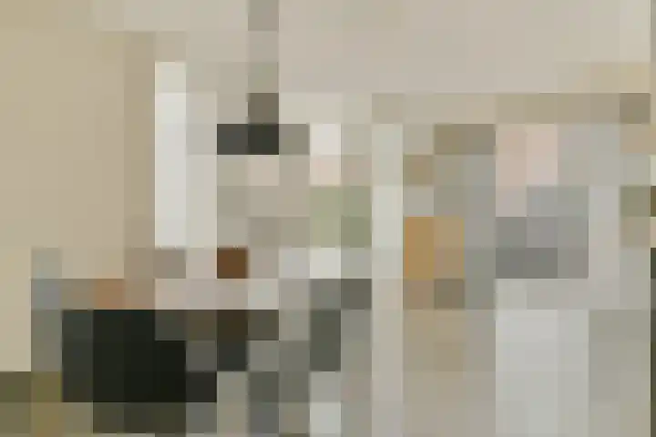 Boezemsingel 25 Alkmaar thumbnail 9