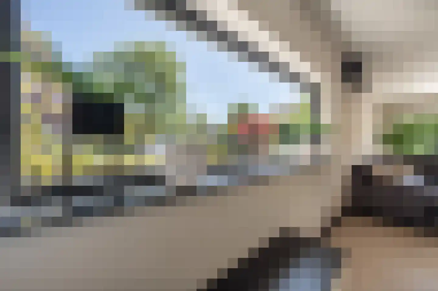 Boezemsingel 30 Oud-Beijerland thumbnail 12