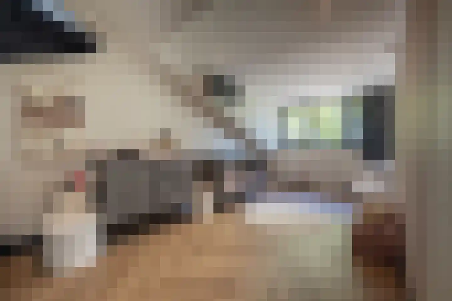 Boezemsingel 30 Oud-Beijerland thumbnail 38
