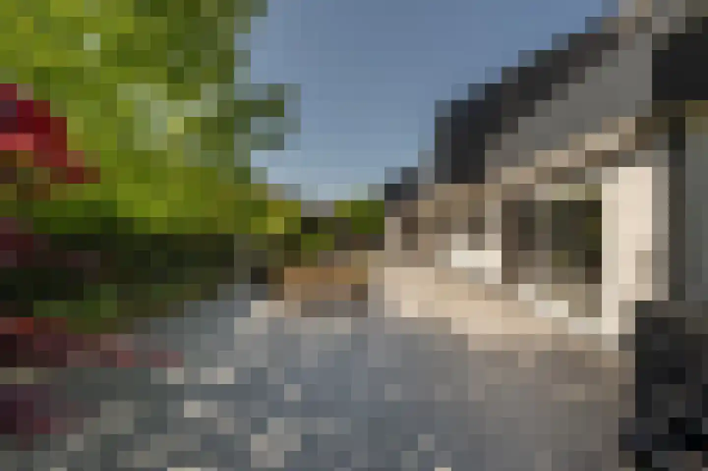 Boezemsingel 30 Oud-Beijerland thumbnail 44