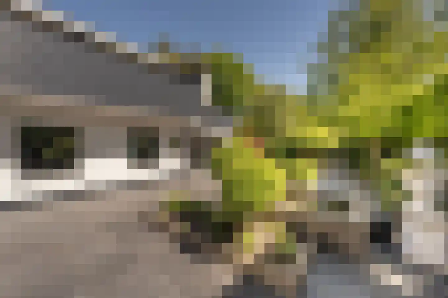 Boezemsingel 30 Oud-Beijerland thumbnail 49
