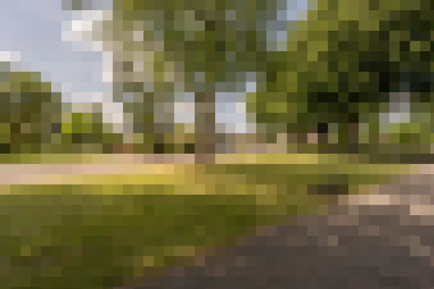 Boezemsingel 30 Oud-Beijerland thumbnail 55