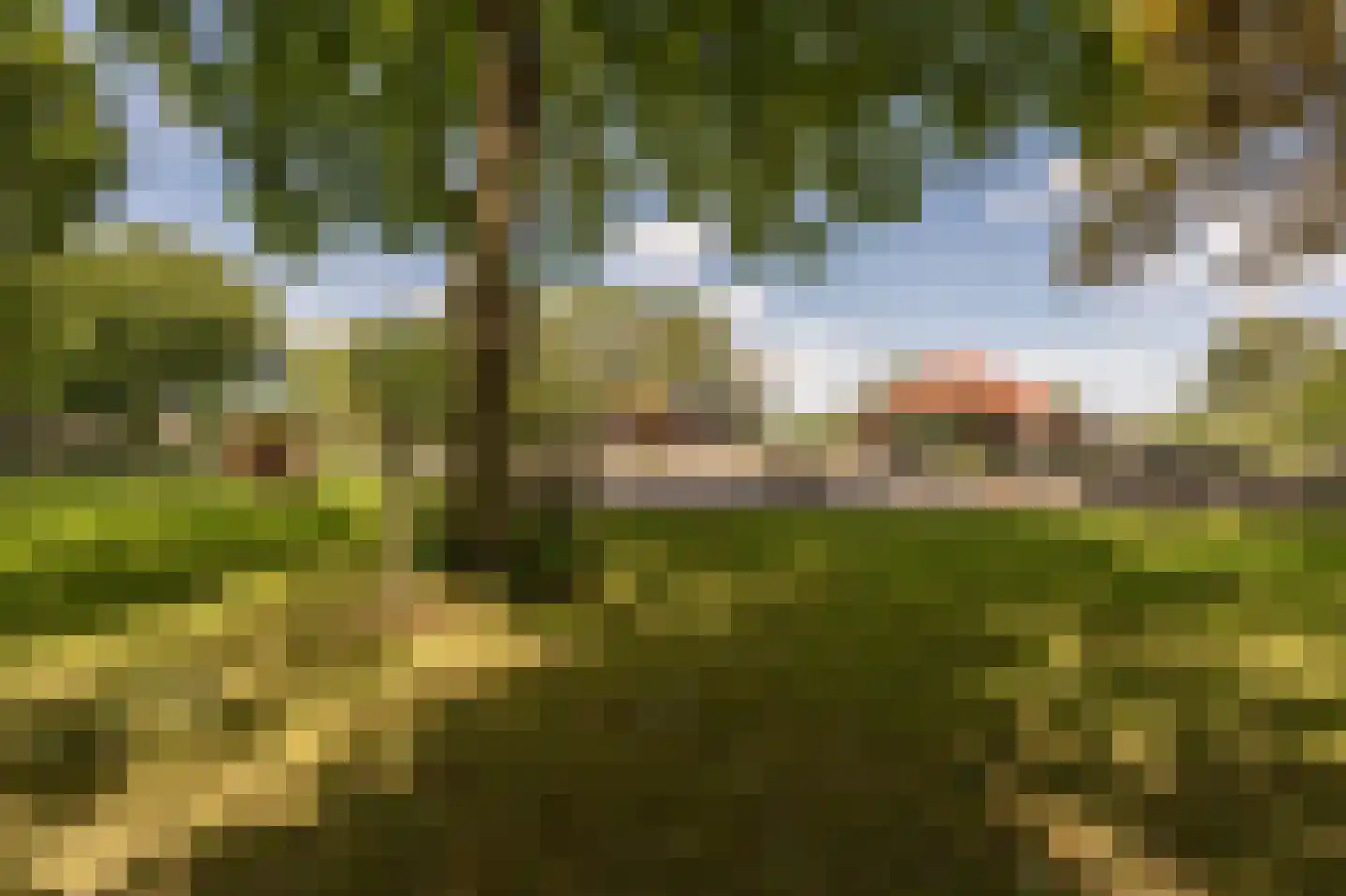 Boezemsingel 30 Oud-Beijerland thumbnail 56