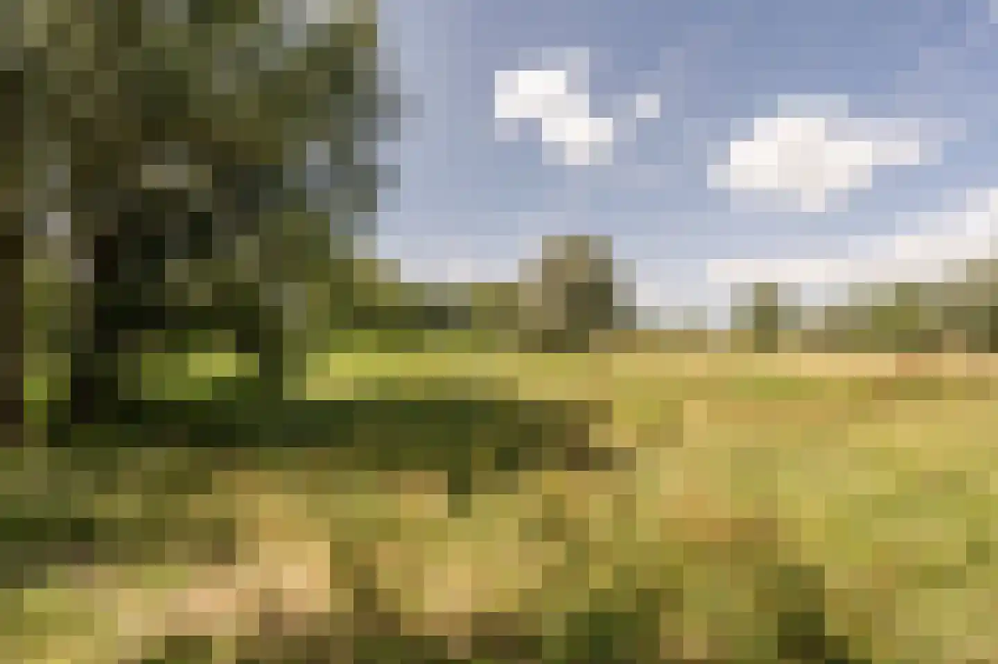 Boezemsingel 30 Oud-Beijerland thumbnail 57