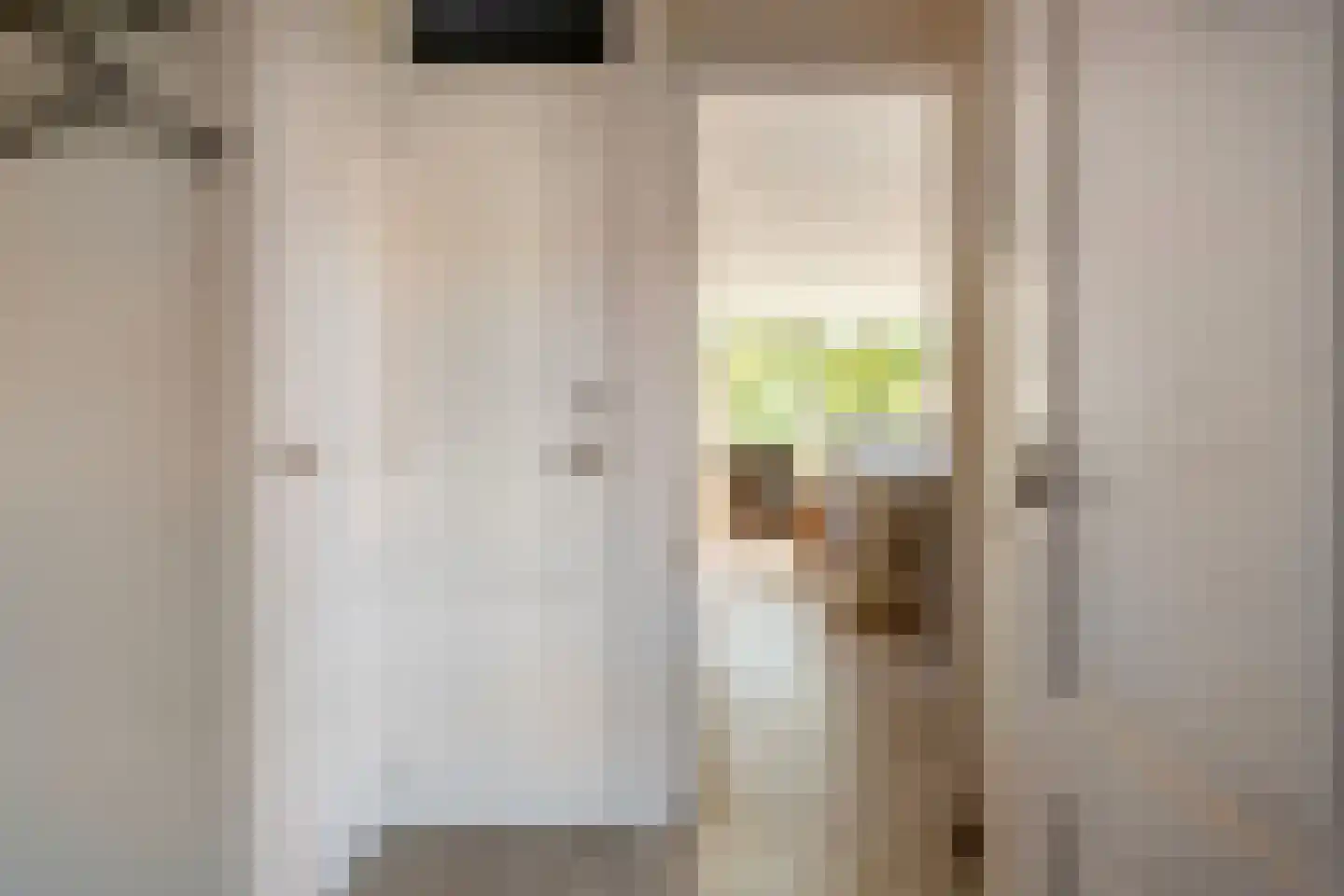 Boezemsingel 34 Gouderak thumbnail 6