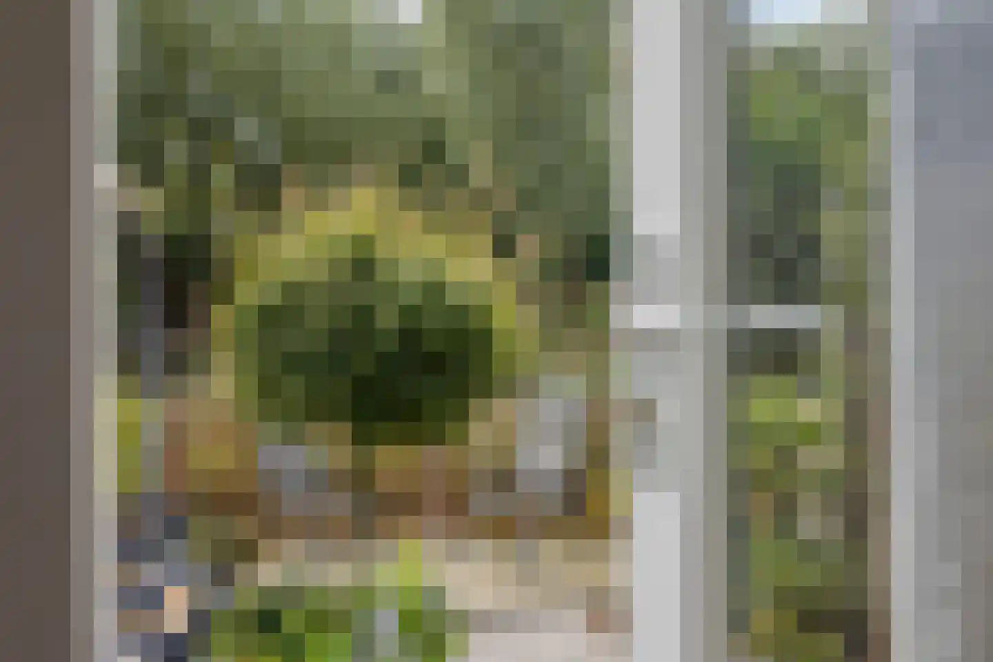 Boezemsingel 46 Gouderak thumbnail 16