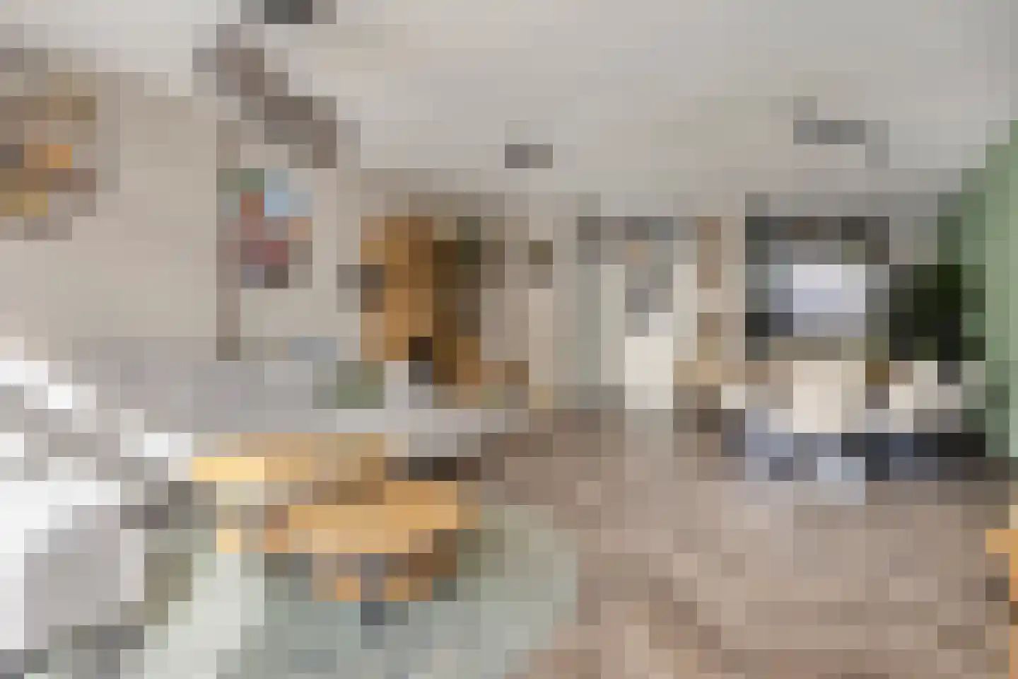 Boezemsingel 46 Gouderak thumbnail 18
