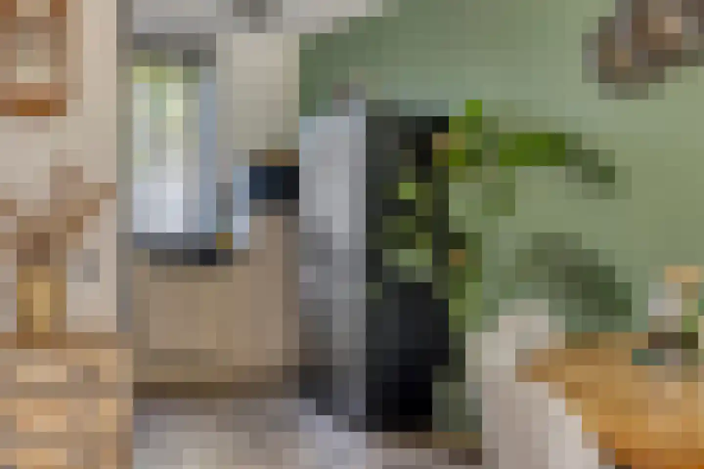 Boezemsingel 46 Gouderak thumbnail 20