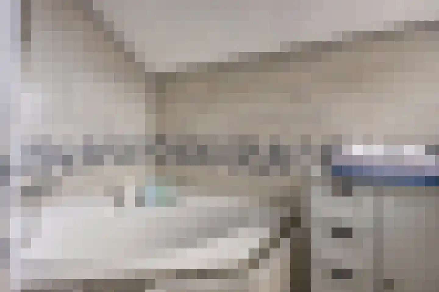 Boezemsingel 46 Gouderak thumbnail 30
