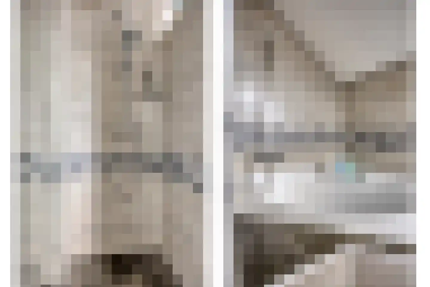 Boezemsingel 46 Gouderak thumbnail 31