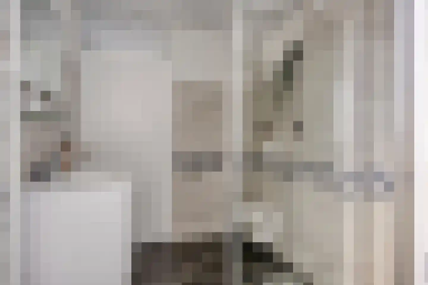 Boezemsingel 46 Gouderak thumbnail 32