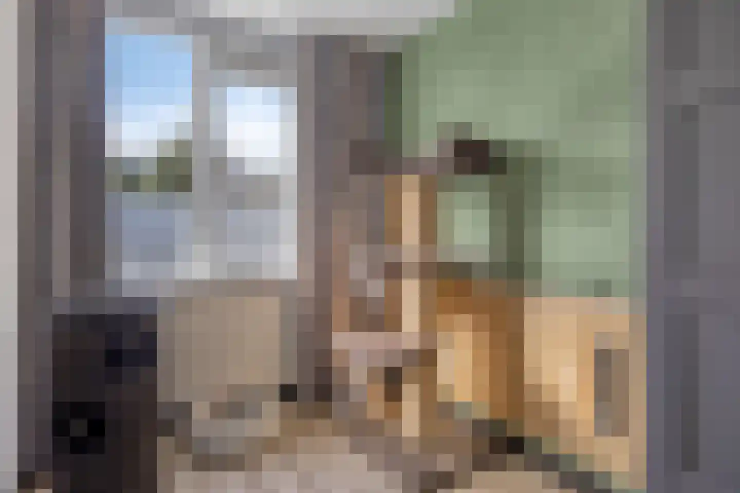 Boezemsingel 46 Gouderak thumbnail 33