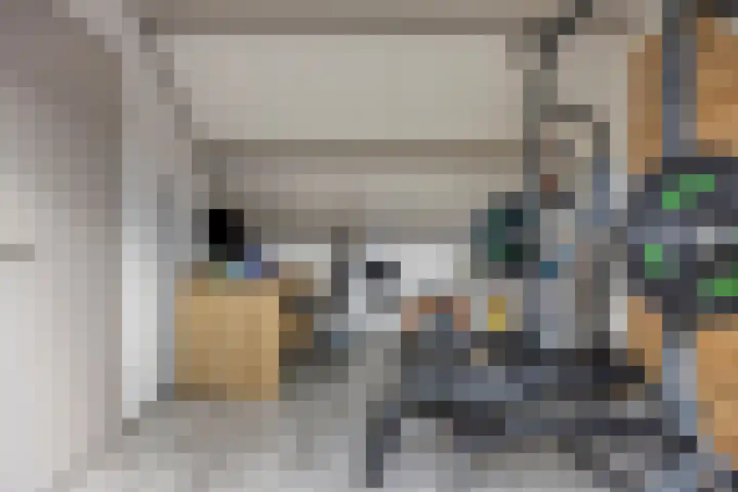 Boezemsingel 46 Gouderak thumbnail 38