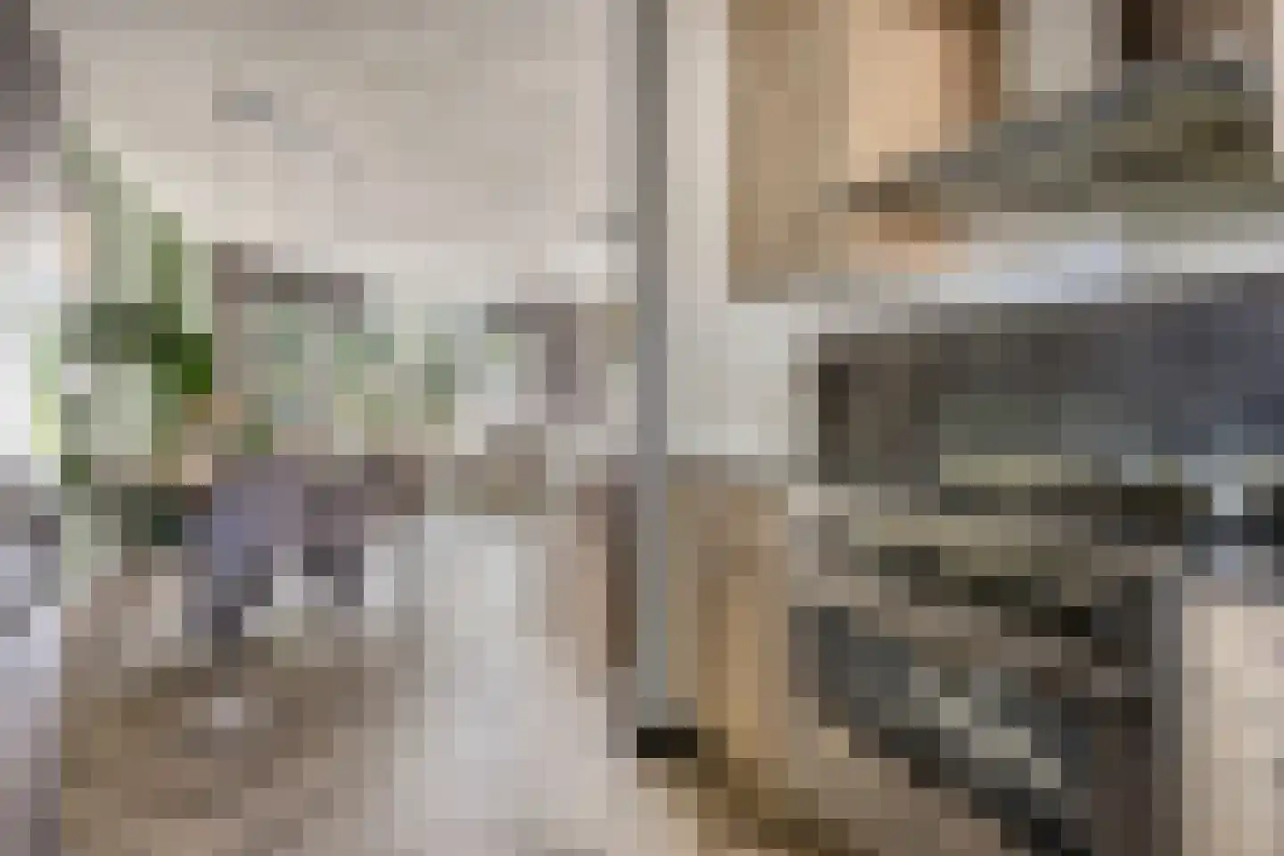 Boezemsingel 46 Gouderak thumbnail 4