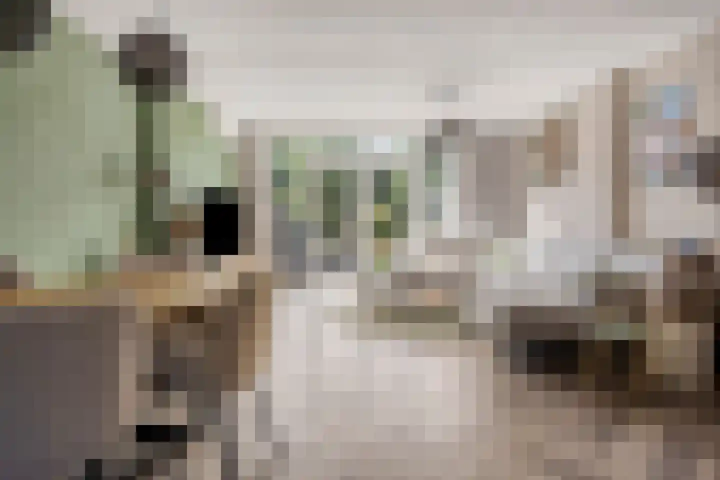 Boezemsingel 46 Gouderak thumbnail 5