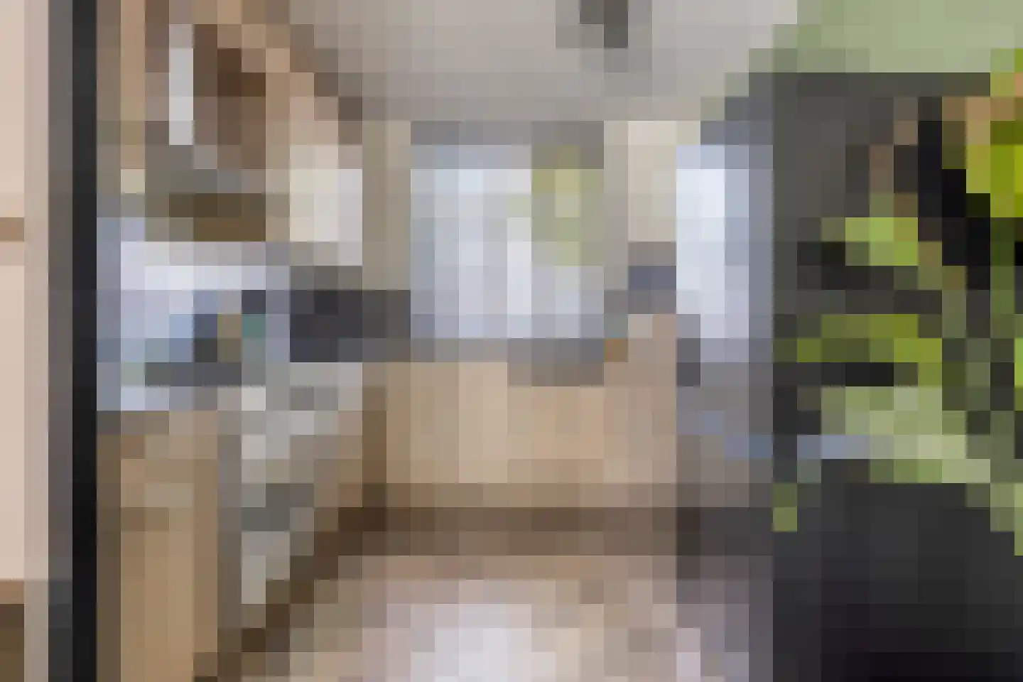 Boezemsingel 46 Gouderak thumbnail 6