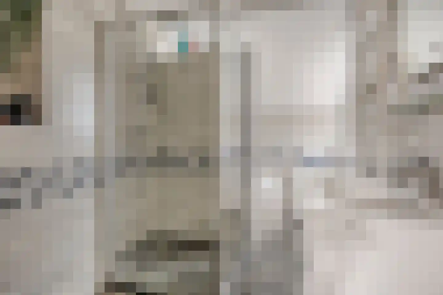 Boezemsingel 46 Gouderak thumbnail 8