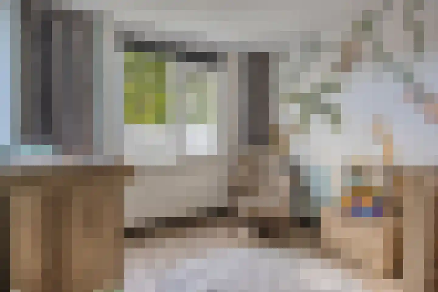 Boezemsingel 46 Gouderak thumbnail 9
