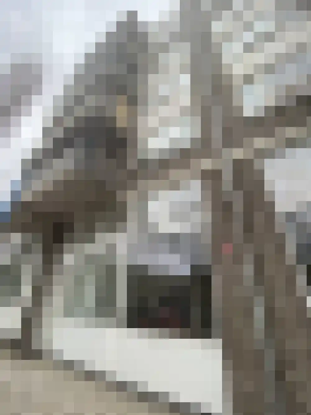 Boezemsingel 54 Rotterdam thumbnail 12